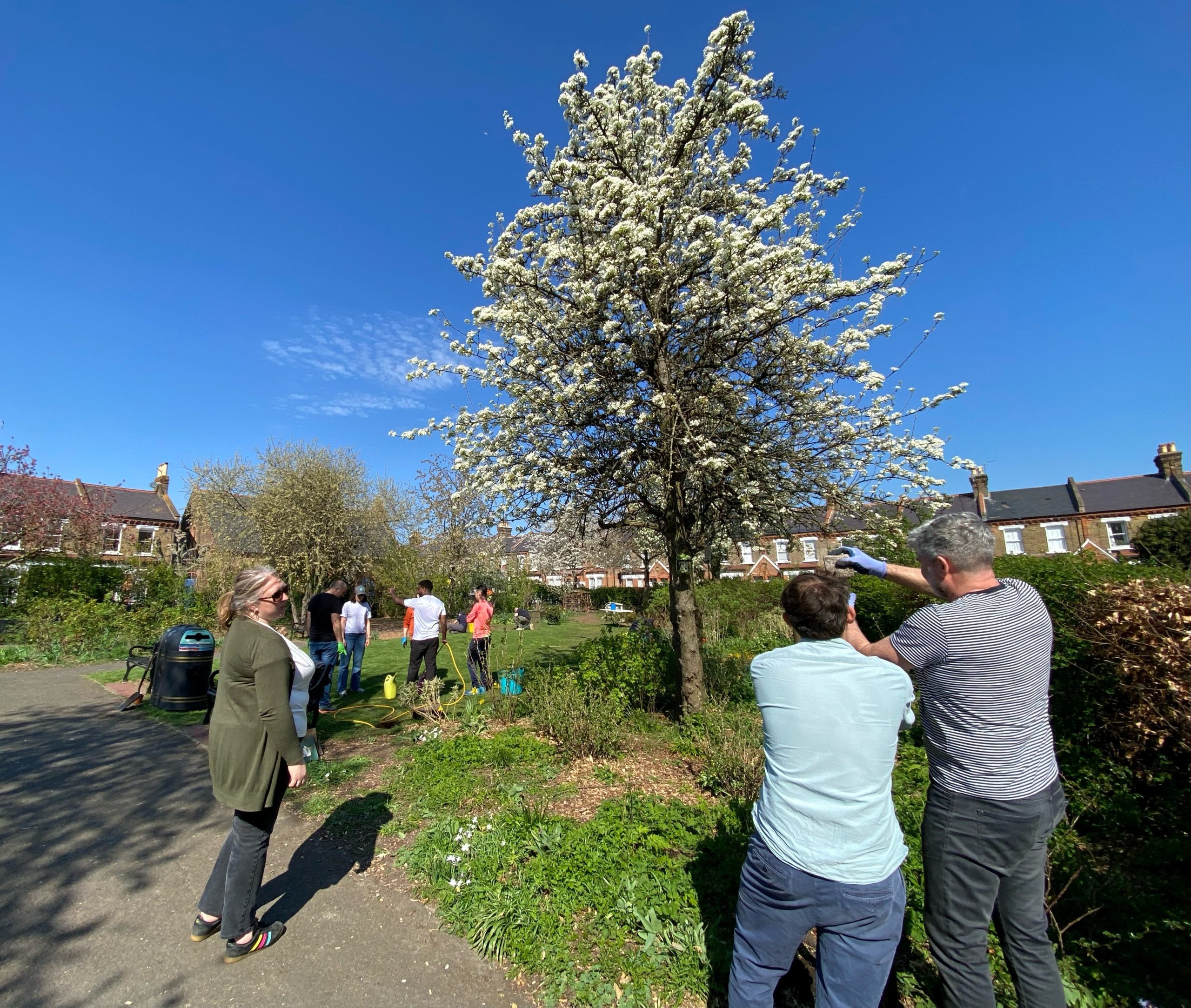Sowing seeds and skills with the Church Commissioners for England